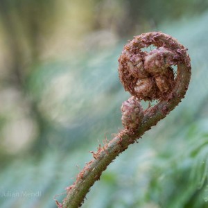 Antipodean_5__MG_0510