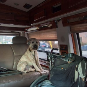 Banjo on Urban Safari with Uncle Tony