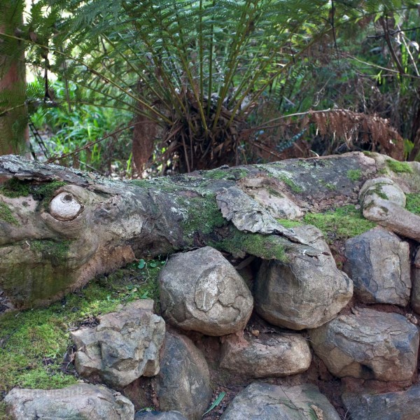 Bruno's_Sculpture_Gardens_9__MG_8718