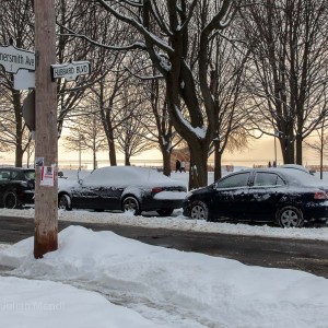 The new Portland & Wellington!