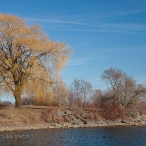 Humber_Bay_Park_3_IMG_9616