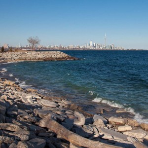 Humber_Bay_Park_4_IMG_9631