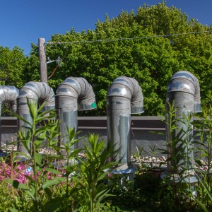 The Roof Garden at 42 Hubbard Blvd