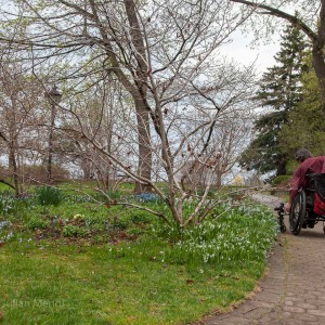 Rosetta McCain Gardens