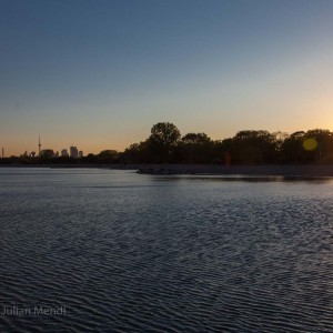 Kew Beach - Banjo's Off Leash Park