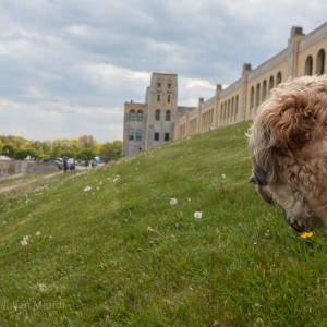 The Waterworks - Banjo waiting for Diane to finish with Doors Open