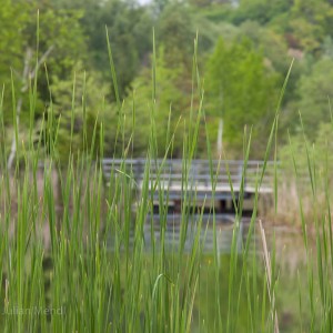 The Don Valley Brickworks