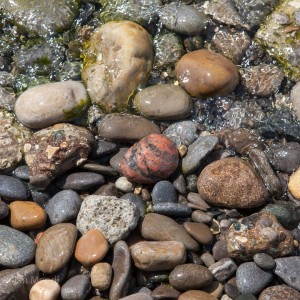 Kew Beach - Off Leash Area