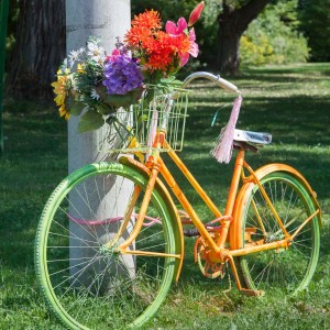 Toronto_Islands_11_IMG_4319