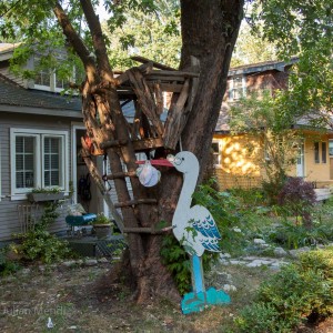 Toronto_Islands_13_IMG_4899