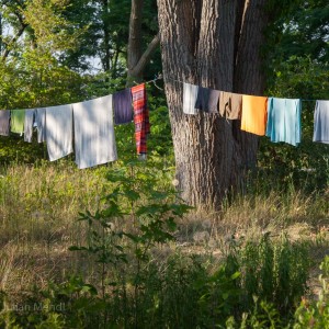 Toronto_Islands_14_IMG_4909