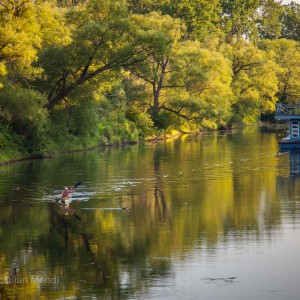 Toronto_Islands_27_IMG_4919