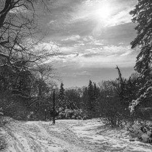 Alexander Muir Park, Toronto