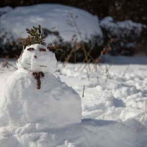 alexander_muir_gardens_4_IMG_7650