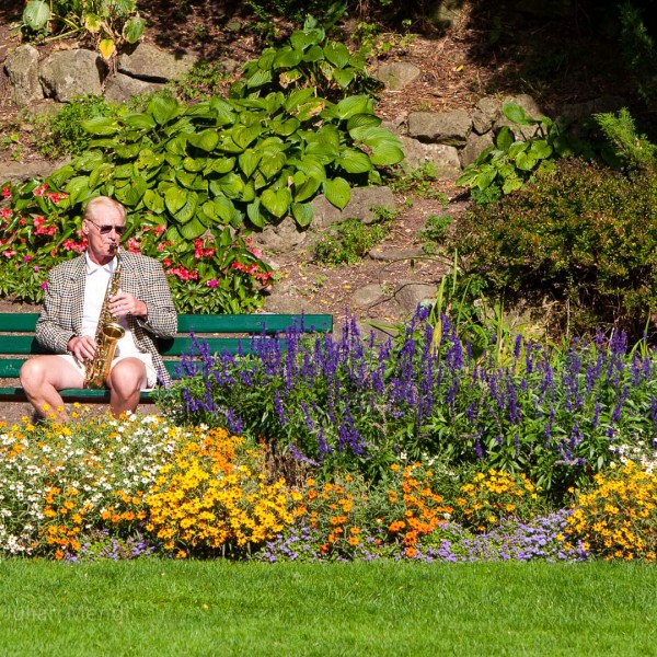 Alexander Muir Gardens