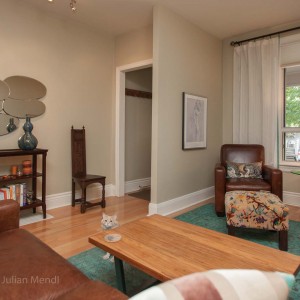 ginger_tom_1_IMG_2340