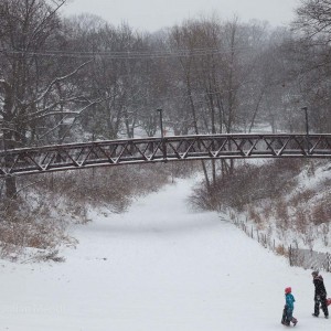 glen_stewart_ravine_10__MG_4308
