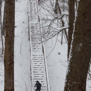 glen_stewart_ravine_13__MG_4272