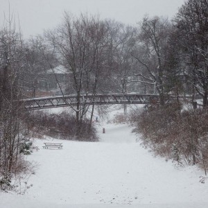 glen_stewart_ravine_14__MG_4283