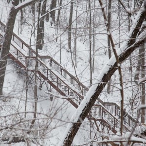 Glen Manor Ravine in the Toronto Beaches