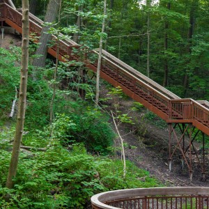 glen_stewart_ravine_2_IMG_3577