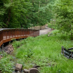 glen_stewart_ravine_3_IMG_3582