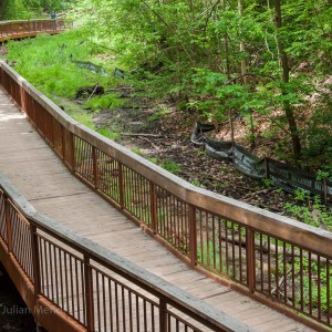 glen_stewart_ravine_6_IMG_3595