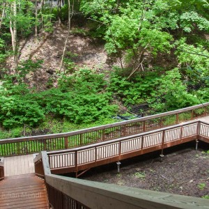 glen_stewart_ravine_7_IMG_3599