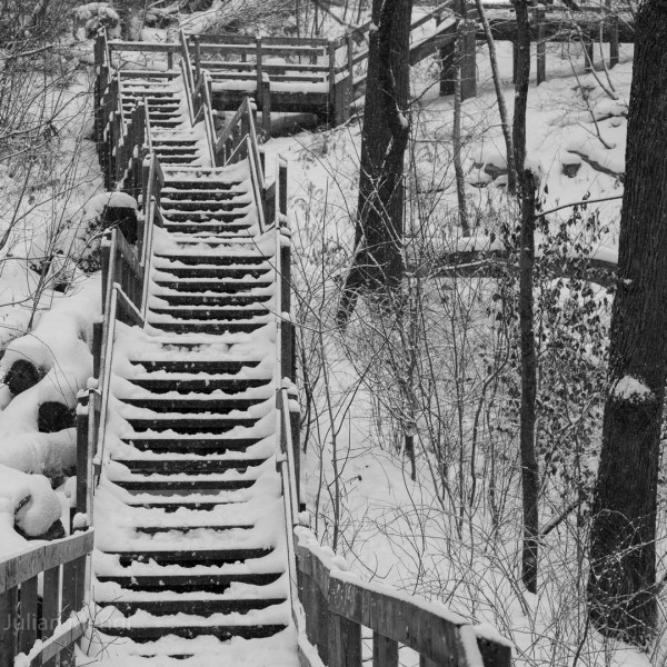 glen_stewart_ravine_9_IMG_4221