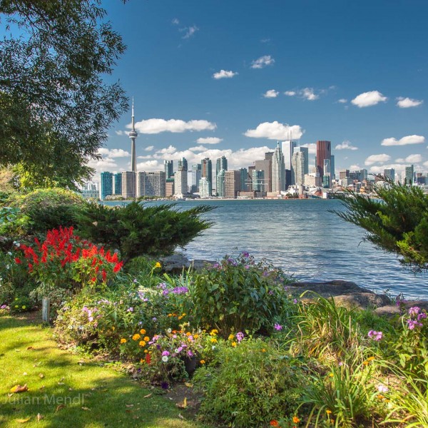 A Summer Garden on Algonquin Island, Toronto