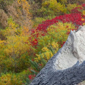 scarborough_bluffs_15_IMG_3651