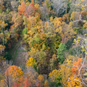 scarborough_bluffs_19_IMG_3670