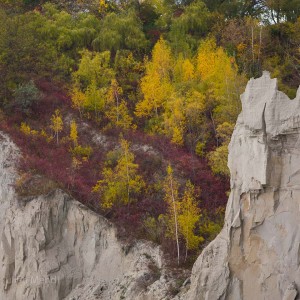 scarborough_bluffs_6__MG_3624