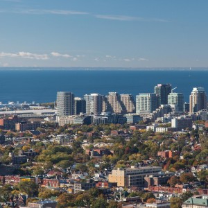Liberty Village, from St Mary`s St