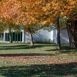 The Boathouse, on Alfresco Lawn
