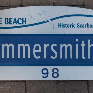 Blown over by the wind, on Queen St