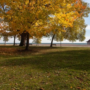Kew Beach