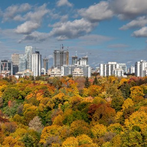 The Eglinton strip, from Avoca