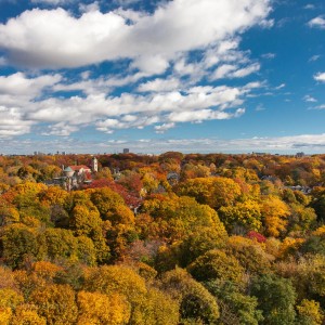 Back to 20 Avoca, a week later