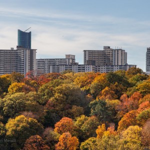 St James Town, with the Aura Tower in behind.
