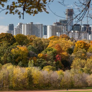 St James Town, from Riverdale East