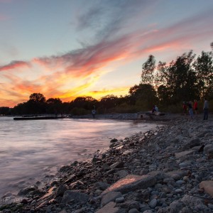 Banjo, planning his social approach.