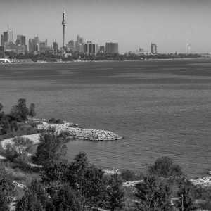 From Mimico