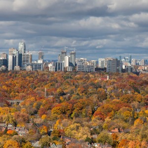 From Bloor St, looking North