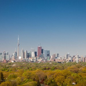 From Victoria Park and Kingston Road