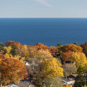 From Victoria Park and Kingston Road