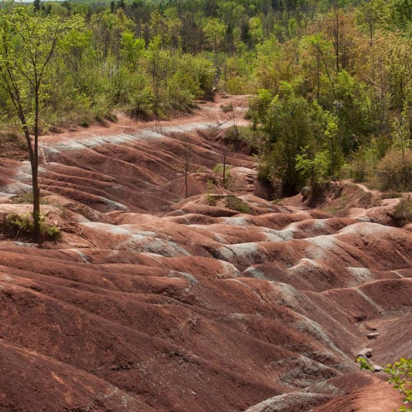 cheltenham_badlands_6_IMG_0680